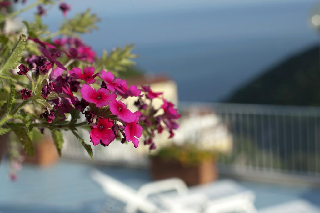 Le Terrazze Di Cristina Bed & Breakfast Vietri sul Mare Exterior photo