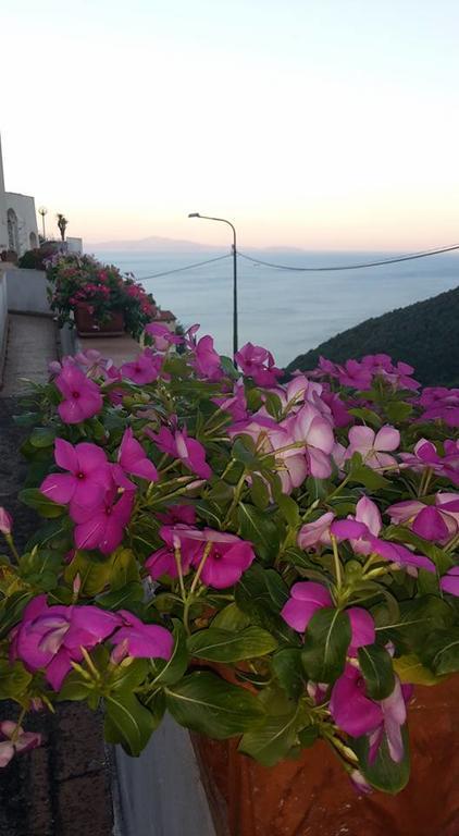 Le Terrazze Di Cristina Bed & Breakfast Vietri sul Mare Exterior photo